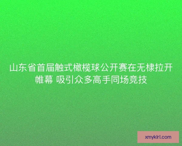 山东省首届触式橄榄球公开赛在无棣拉开帷幕 吸引众多高手同场竞技