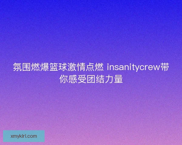 氛围燃爆篮球激情点燃 insanitycrew带你感受团结力量